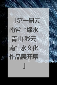 第一届云南省“绿水青山·彩云南”水文化作品展开幕
