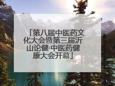 第八届中医药文化大会暨第三届沂山论健·中医药健康大会开幕