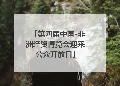 第四届中国-非洲经贸博览会迎来公众开放日