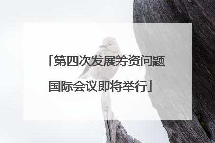 第四次发展筹资问题国际会议即将举行