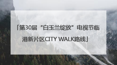 第30届“白玉兰绽放”电视节临港新片区CITY WALK路线