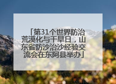 第31个世界防治荒漠化与干旱日，山东省防沙治沙经验交流会在东阿县举办