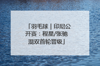 羽毛球｜印尼公开赛：程星/张驰混双首轮晋级