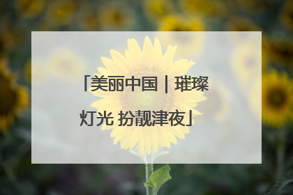 美丽中国｜璀璨灯光 扮靓津夜
