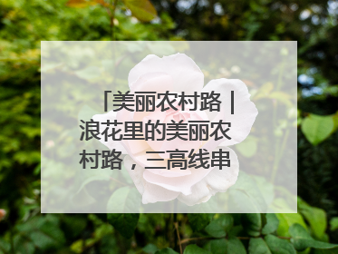 美丽农村路｜浪花里的美丽农村路，三高线串起山海经济学