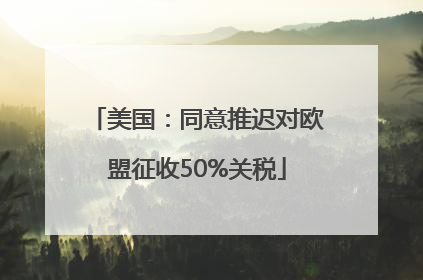 美国：同意推迟对欧盟征收50%关税