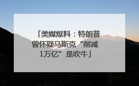 美媒爆料：特朗普曾怀疑马斯克“削减1万亿”是吹牛