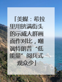 美媒：希拉里用挤满街头的示威人群画面作对比，嘲讽特朗普“低能量”阅兵式观众少