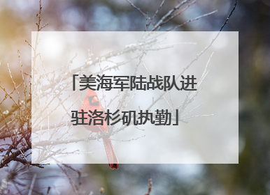 美海军陆战队进驻洛杉矶执勤