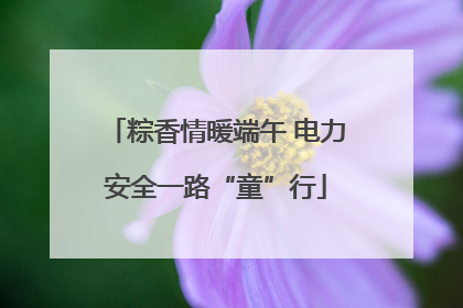 粽香情暖端午 电力安全一路“童”行
