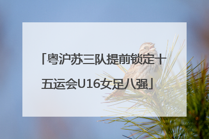 粤沪苏三队提前锁定十五运会U16女足八强