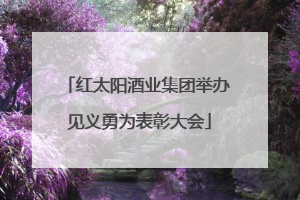 红太阳酒业集团举办见义勇为表彰大会