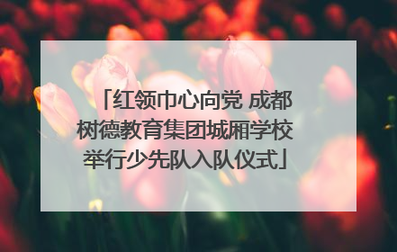 红领巾心向党 成都树德教育集团城厢学校举行少先队入队仪式