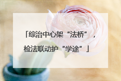 综治中心架“法桥”，检法联动护“学途”