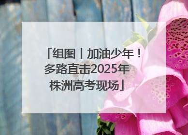 组图丨加油少年！多路直击2025年株洲高考现场