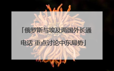 俄罗斯与埃及两国外长通电话 重点讨论中东局势