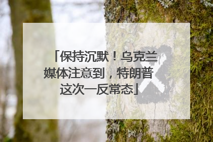 保持沉默！乌克兰媒体注意到，特朗普这次一反常态