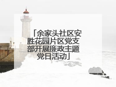 余家头社区安胜花园片区党支部开展廉政主题党日活动