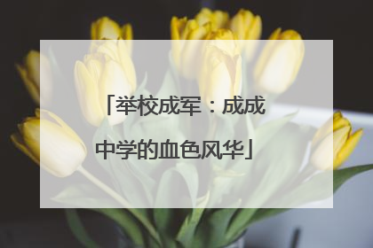 举校成军：成成中学的血色风华