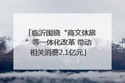 临沂围绕“商文体旅”等一体化改革 带动相关消费2.1亿元