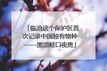 临沧这个保护区首次记录中国独有物种——黑顶蛙口夜鹰