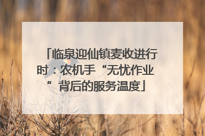临泉迎仙镇麦收进行时：农机手“无忧作业”背后的服务温度