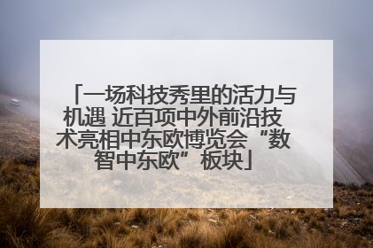 一场科技秀里的活力与机遇 近百项中外前沿技术亮相中东欧博览会“数智中东欧”板块