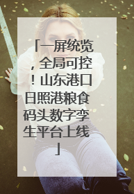 一屏统览，全局可控！山东港口日照港粮食码头数字孪生平台上线