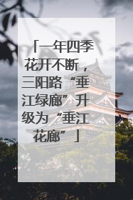 一年四季花开不断，三阳路“垂江绿廊”升级为“垂江花廊”