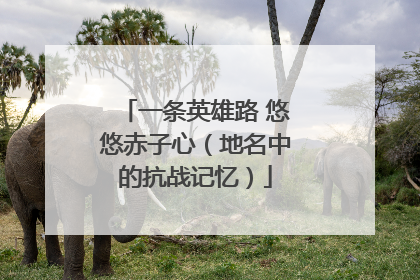 一条英雄路 悠悠赤子心（地名中的抗战记忆）