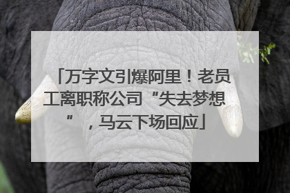 万字文引爆阿里！老员工离职称公司“失去梦想”，马云下场回应