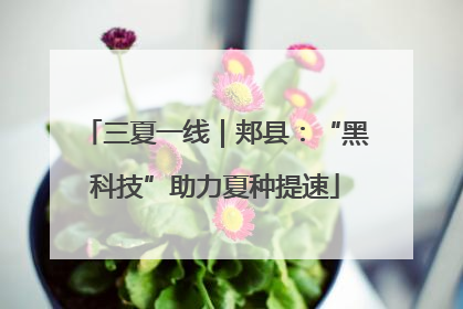 三夏一线｜郏县：“黑科技”助力夏种提速