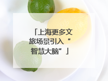 上海更多文旅场景引入“智慧大脑”