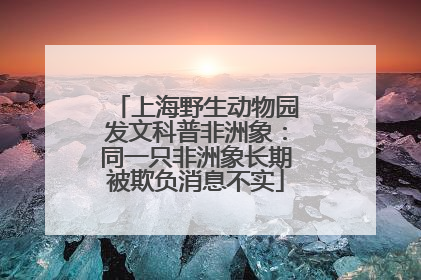 上海野生动物园发文科普非洲象：同一只非洲象长期被欺负消息不实