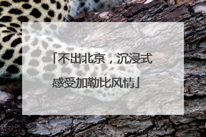 不出北京，沉浸式感受加勒比风情