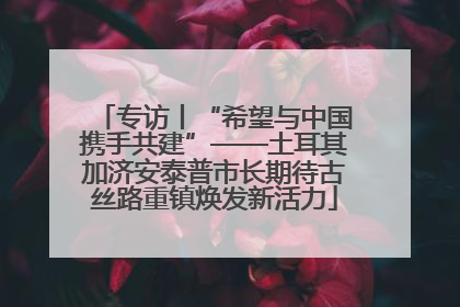 专访丨“希望与中国携手共建”——土耳其加济安泰普市长期待古丝路重镇焕发新活力