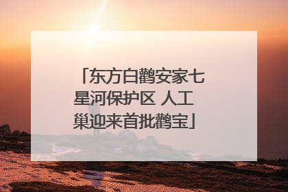 东方白鹳安家七星河保护区 人工巢迎来首批鹳宝