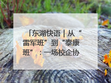 东湖快语｜从“雷军班”到“泰康班”：一场校企协同的“接力赛”