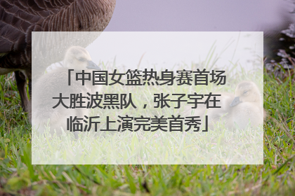 中国女篮热身赛首场大胜波黑队，张子宇在临沂上演完美首秀