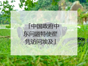 中国政府中东问题特使翟隽访问埃及