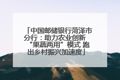 中国邮储银行菏泽市分行：助力农业创新 “果蔬两用”模式 跑出乡村振兴加速度
