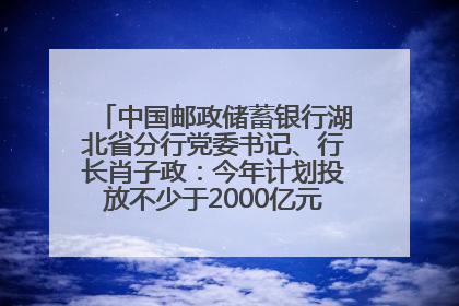中国邮政储蓄银行湖北省分行党委书记、行长肖子政：今年计划投放不少于2000亿元支持支点建设
