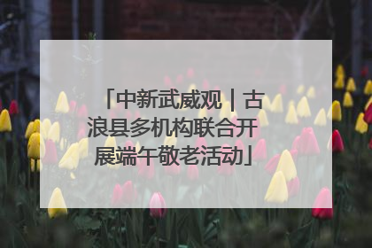 中新武威观｜古浪县多机构联合开展端午敬老活动