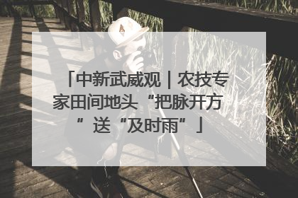 中新武威观｜农技专家田间地头“把脉开方”送“及时雨”