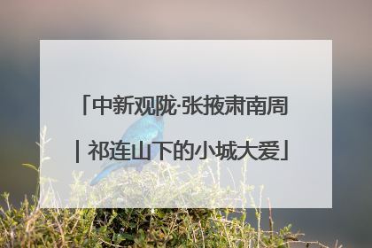 中新观陇·张掖肃南周｜祁连山下的小城大爱