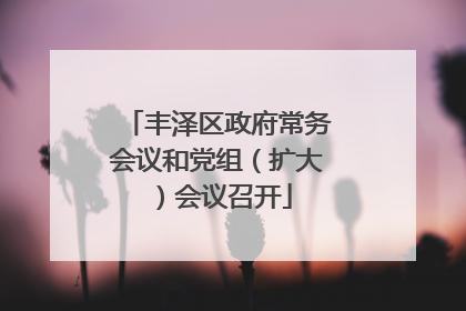 丰泽区政府常务会议和党组（扩大）会议召开