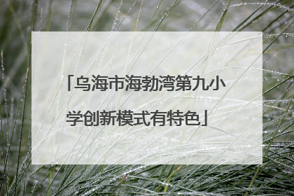 乌海市海勃湾第九小学创新模式有特色