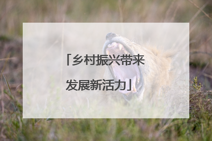 乡村振兴带来发展新活力