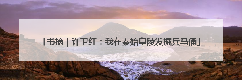 书摘｜许卫红：我在秦始皇陵发掘兵马俑