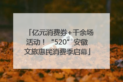 亿元消费券+千余场活动！“520”安徽文旅惠民消费季启幕